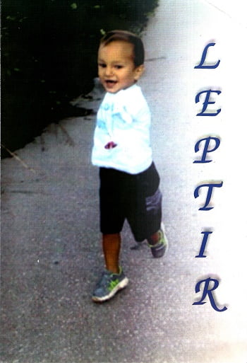 Leptir001